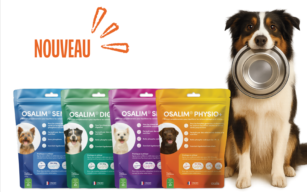 DU NOUVEAU DANS L'EQUILIBRE DES RATIONS MENAGERES ET BARF